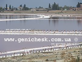 http://www.genichesk.com.ua/other/genbook/images/rozsolts.jpg