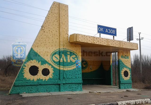 Вид со спутника