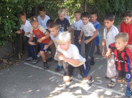       gimnasia