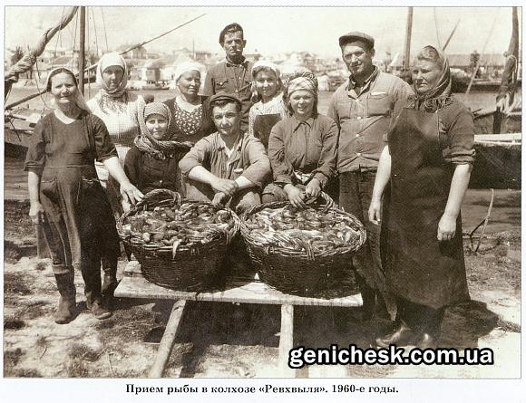 Прием рыбы в геническом рыбколхозе Ревхвиля в 60-х годах прошлого века. Флора и фауна Азовского моря. Какая рыба водится в Азовском море